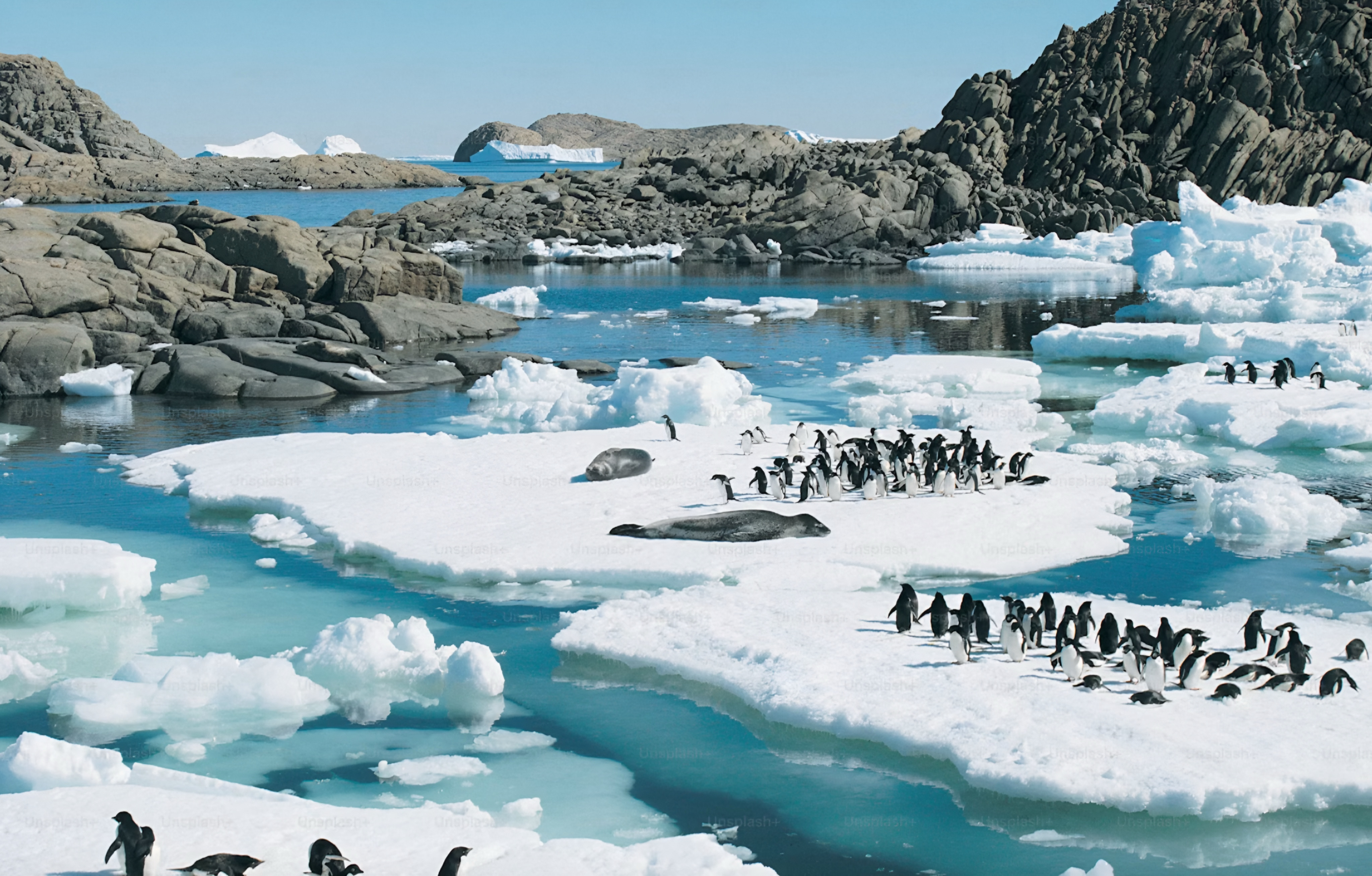 🇦🇶 Antarctica