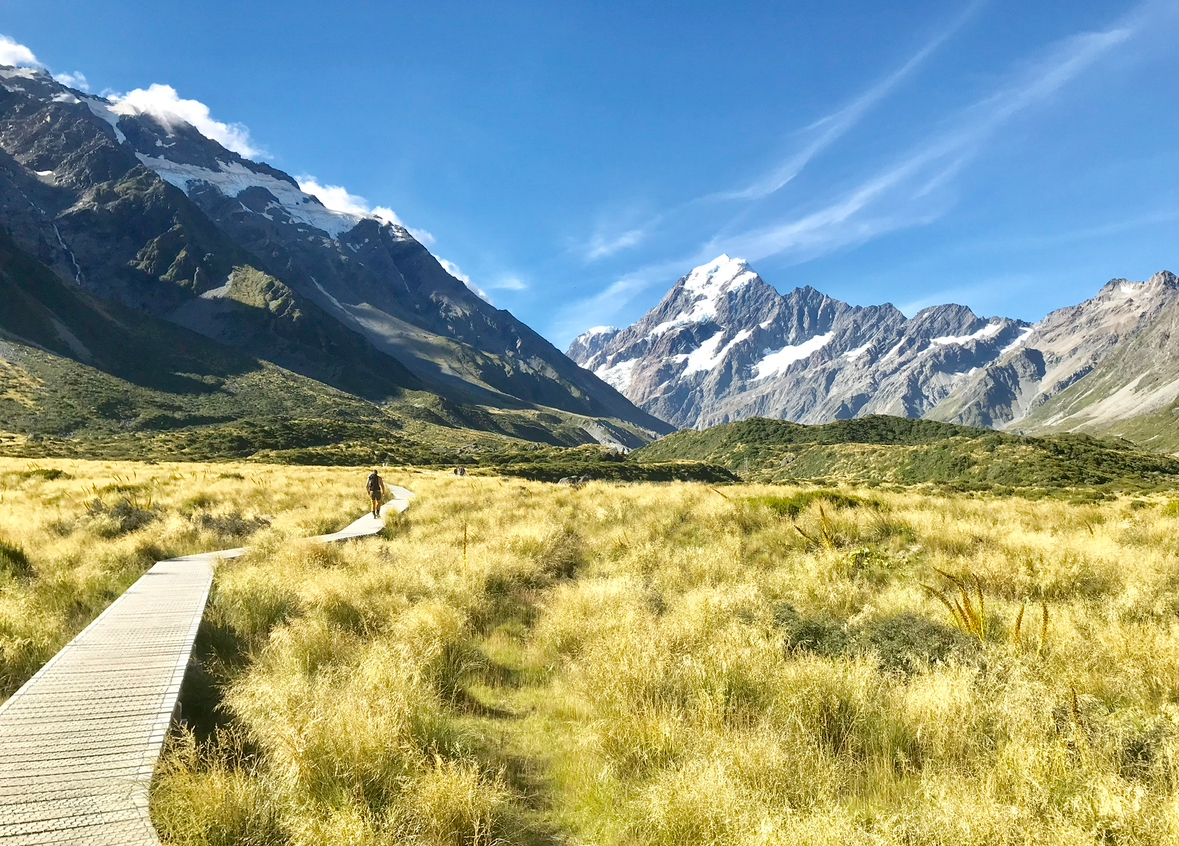 🇳🇿 New Zealand