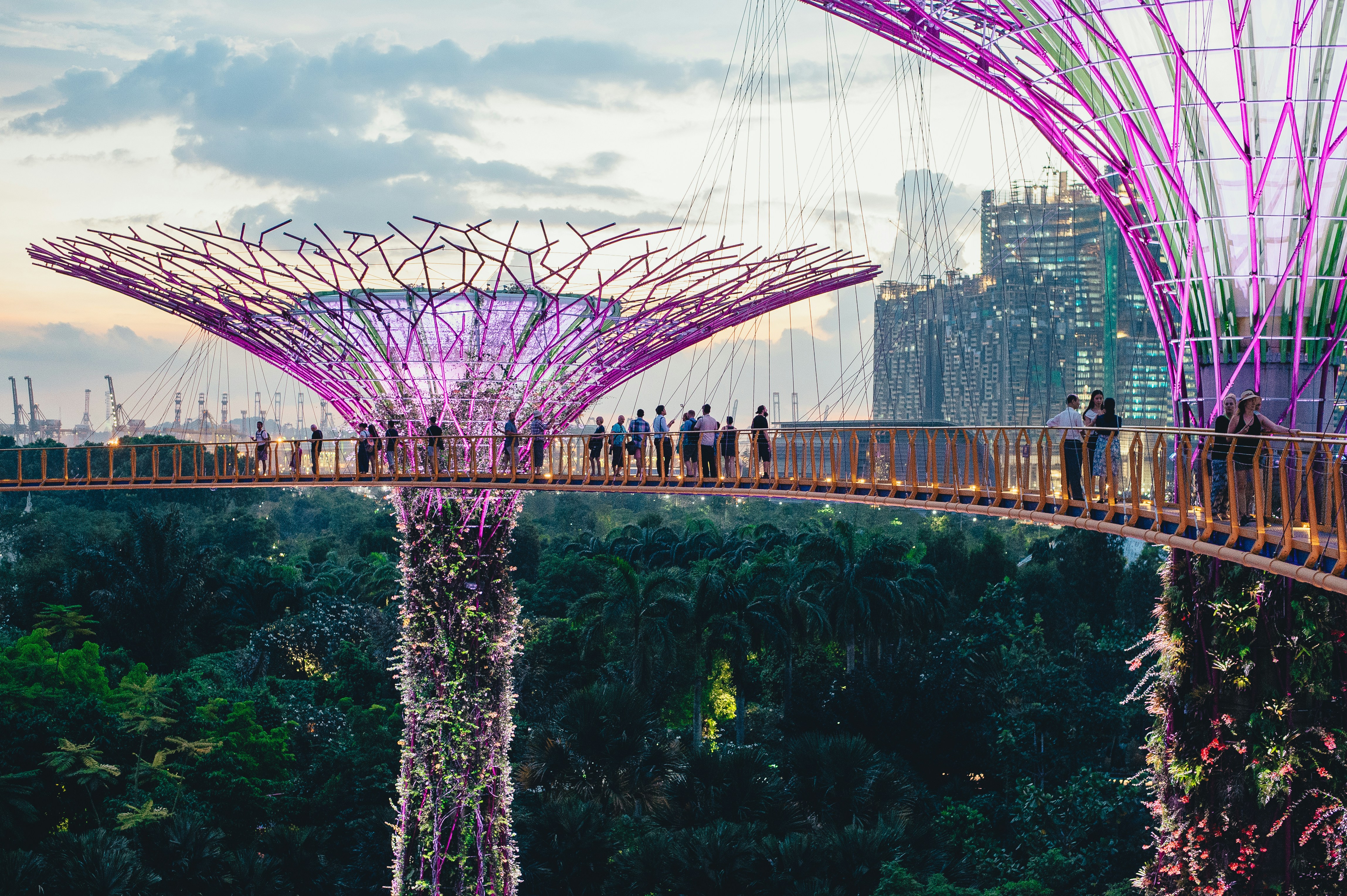 🇸🇬 Singapore